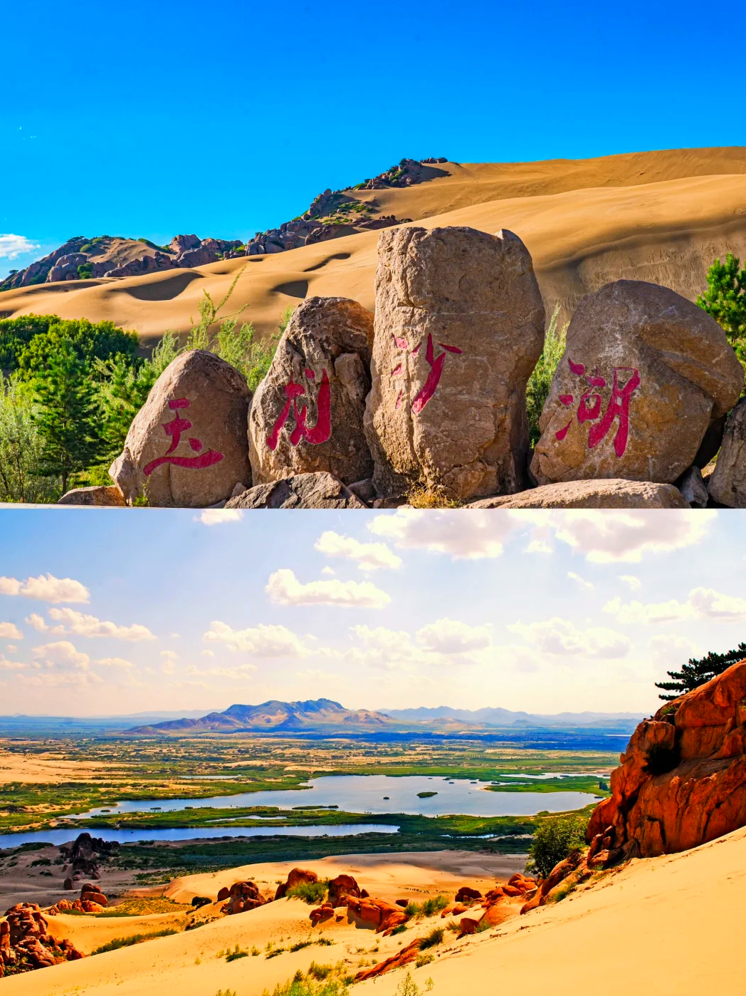 Desert & Wellness